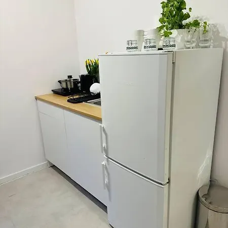 公寓 Next To Motlava 格但斯克